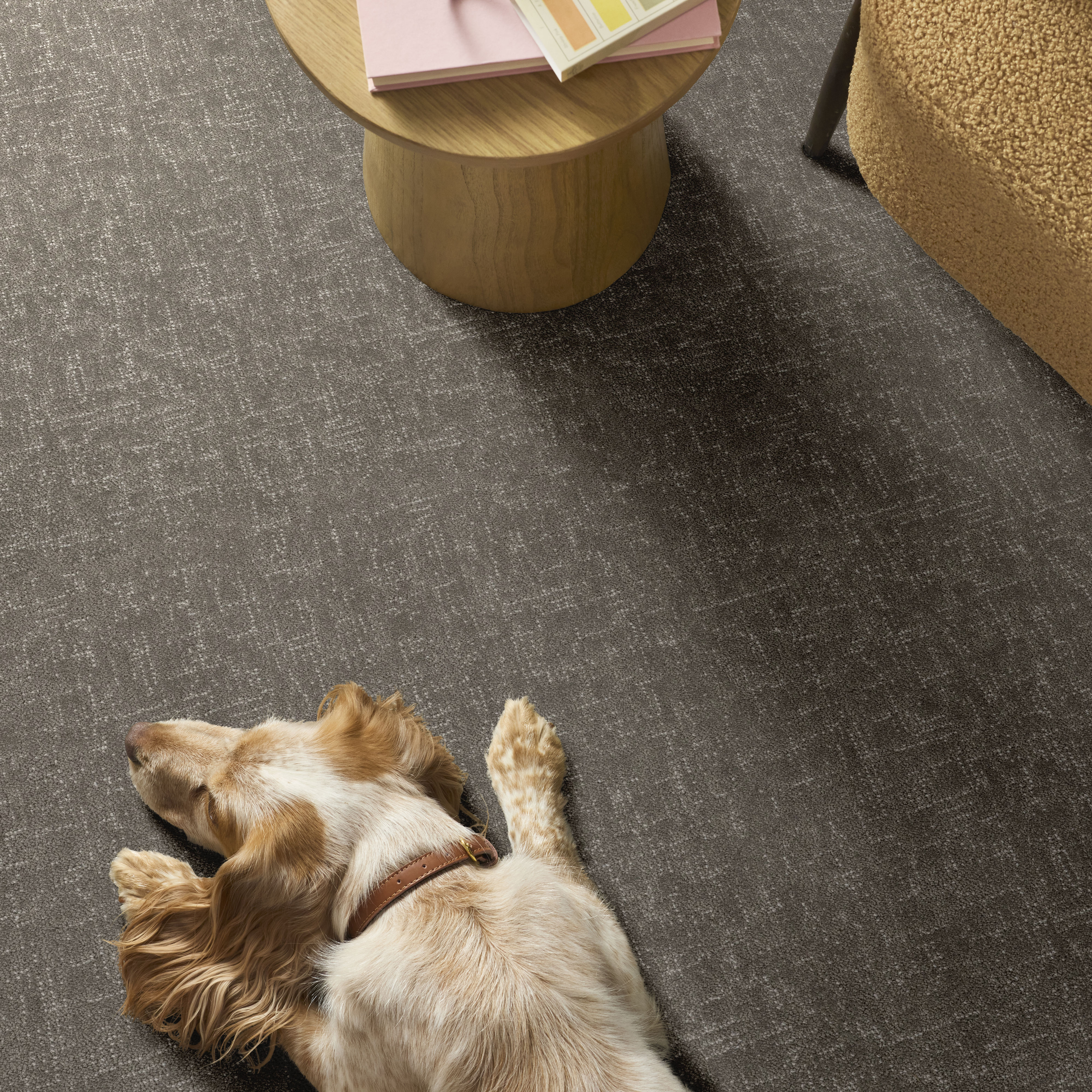 Run Free - Ashes Carpet | Shaw Floors